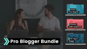 Link To Courses: Pro Blogger Bundle